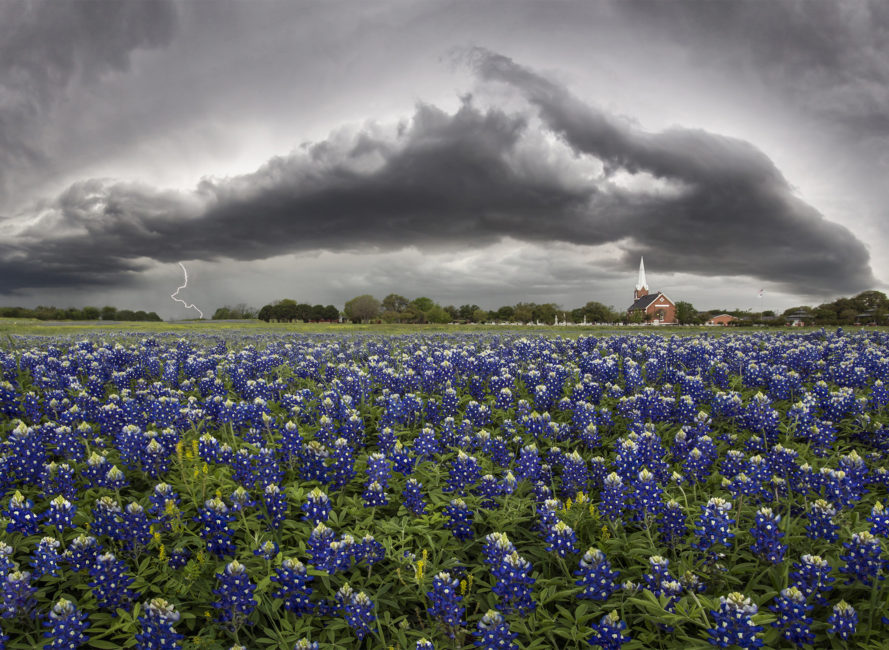 The Perfect Texas Hill Country Wildflower Day Trip