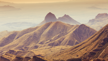 Discover the Story of Estevanico, the 16th Century Texas Explorer