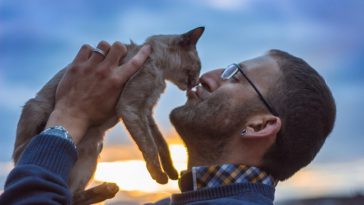 Study Reveals Men With Cats are Less Likely to Get a Date