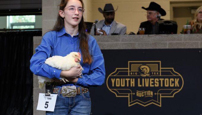 The Big Tex Youth Livestock Market Schedule has Been Revised