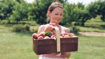 Stop by a Texas Peach Stand: Are These the Tastiest Peaches in Texas?