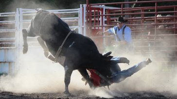 Bull Rider Myrtis Dightman is a Legendary Rodeo Pioneer