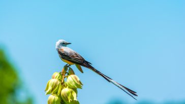 Texas is Home to the Country's Largest Inland Port
