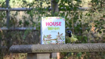 Texas Author Wrote 'A House For Wren' for Birders of All Ages
