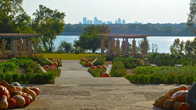 Pumpkins Take Over Dallas Arboretum Fall Festival