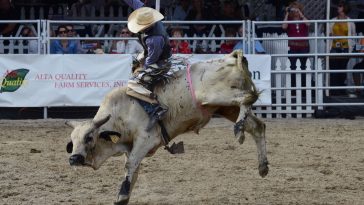 Legendary Bill Pickett Invented Famed Rodeo Event 'Bulldogging'