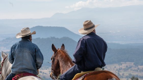 Cowboy Movie Quote Quiz: Which Western Star Said These Lines?