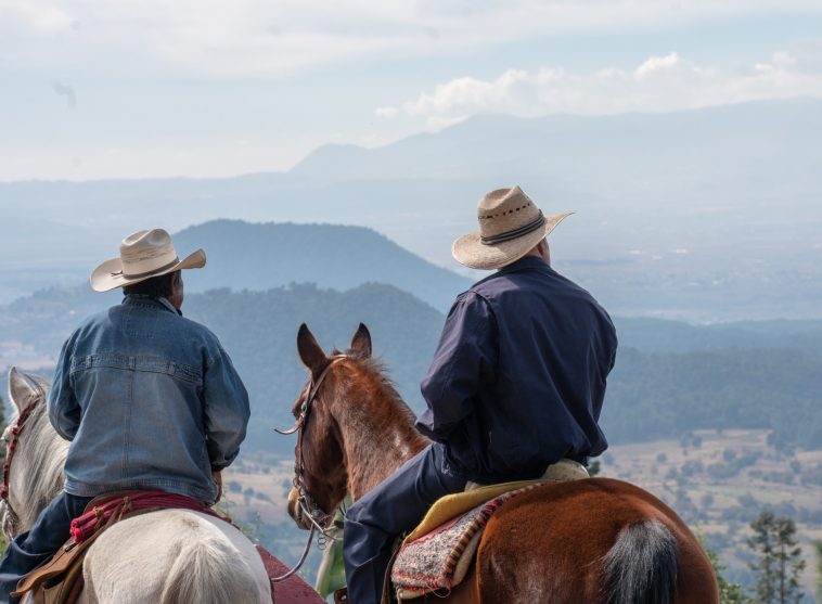 Cowboy Movie Quote Quiz: Which Western Star Said These Lines?