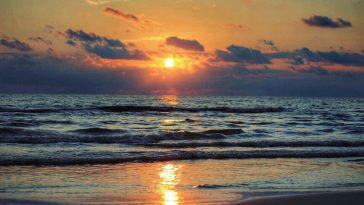 How the Family that Owned Padre Island Got Their Mineral Rights Back