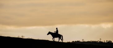 Ten Years of True Grit: The Texas Connections to the Great Western Film