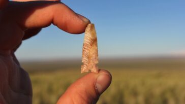 Texas Beyond History is an Incredible Learning Tool