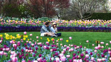 Dallas Blooms Celebrates America at Dallas Arboretum