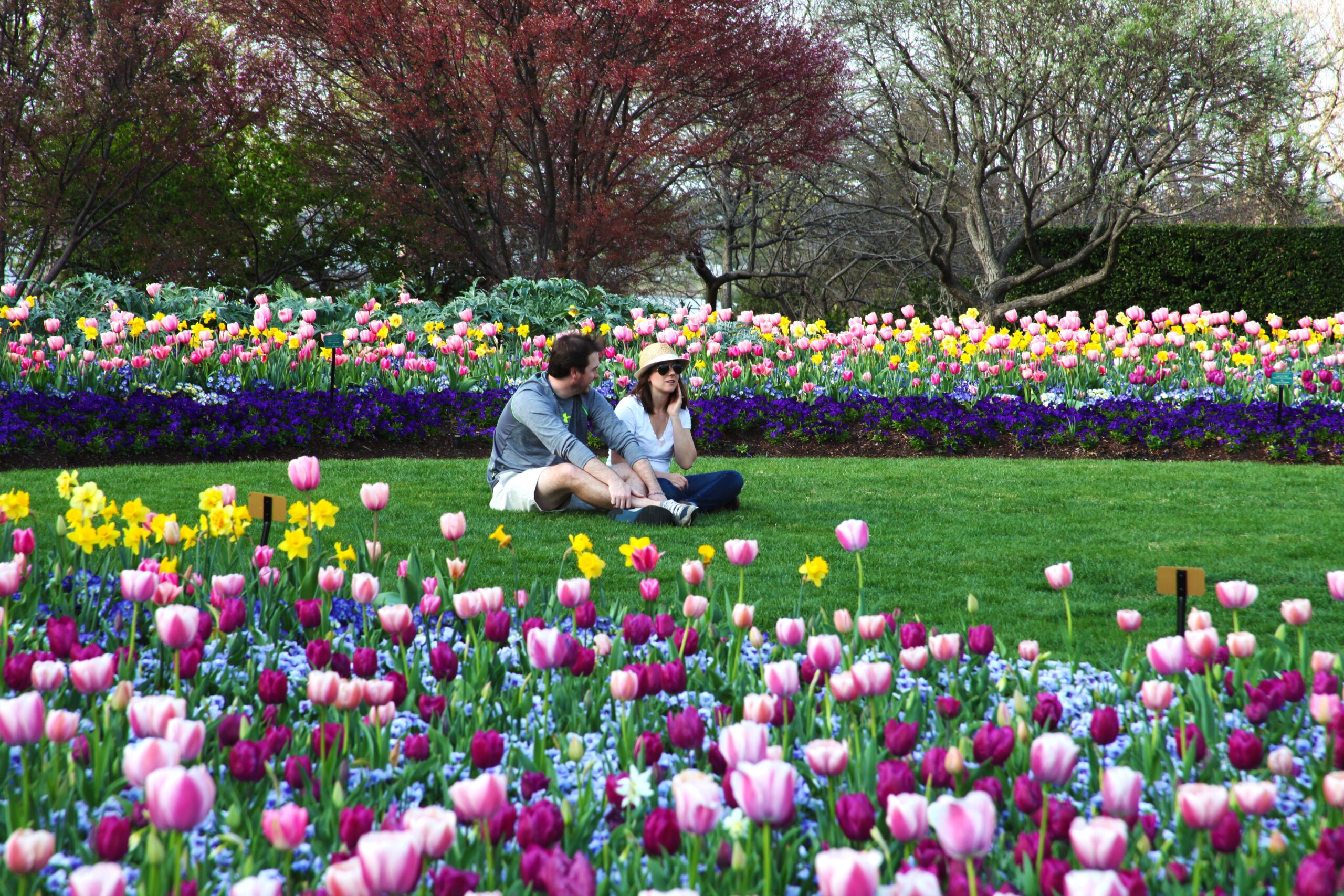 Dallas Blooms Celebrates America at Dallas Arboretum