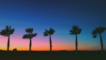 Famous Butter and a Legendary Curandero: Discover Falfurrias