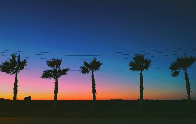 Famous Butter and a Legendary Curandero: Discover Falfurrias