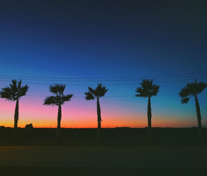 Famous Butter and a Legendary Curandero: Discover Falfurrias