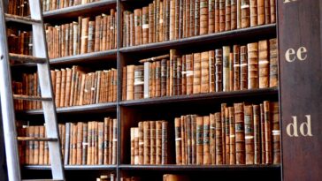 Get a Special Peek Inside a Texas Library Treehouse