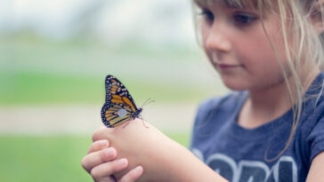 Texas Discovery Gardens: Home to a Huge Butterfly House