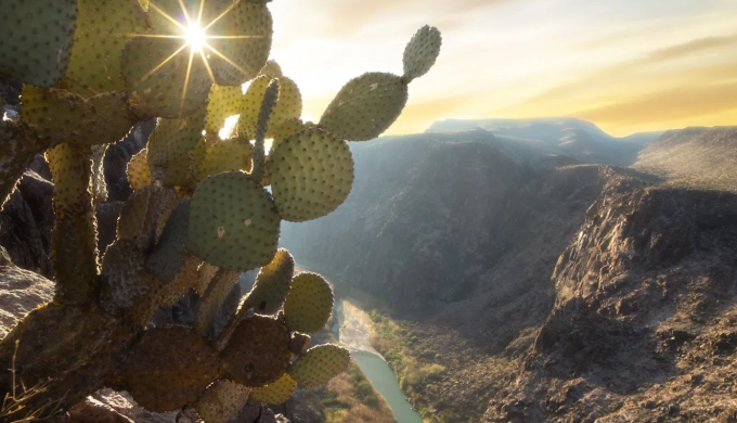 Tony Maples Photography